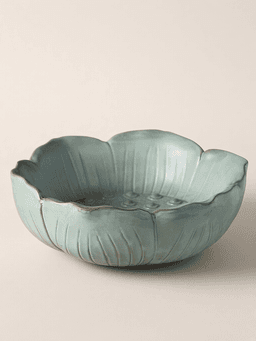 large lotus seedpod · no hole