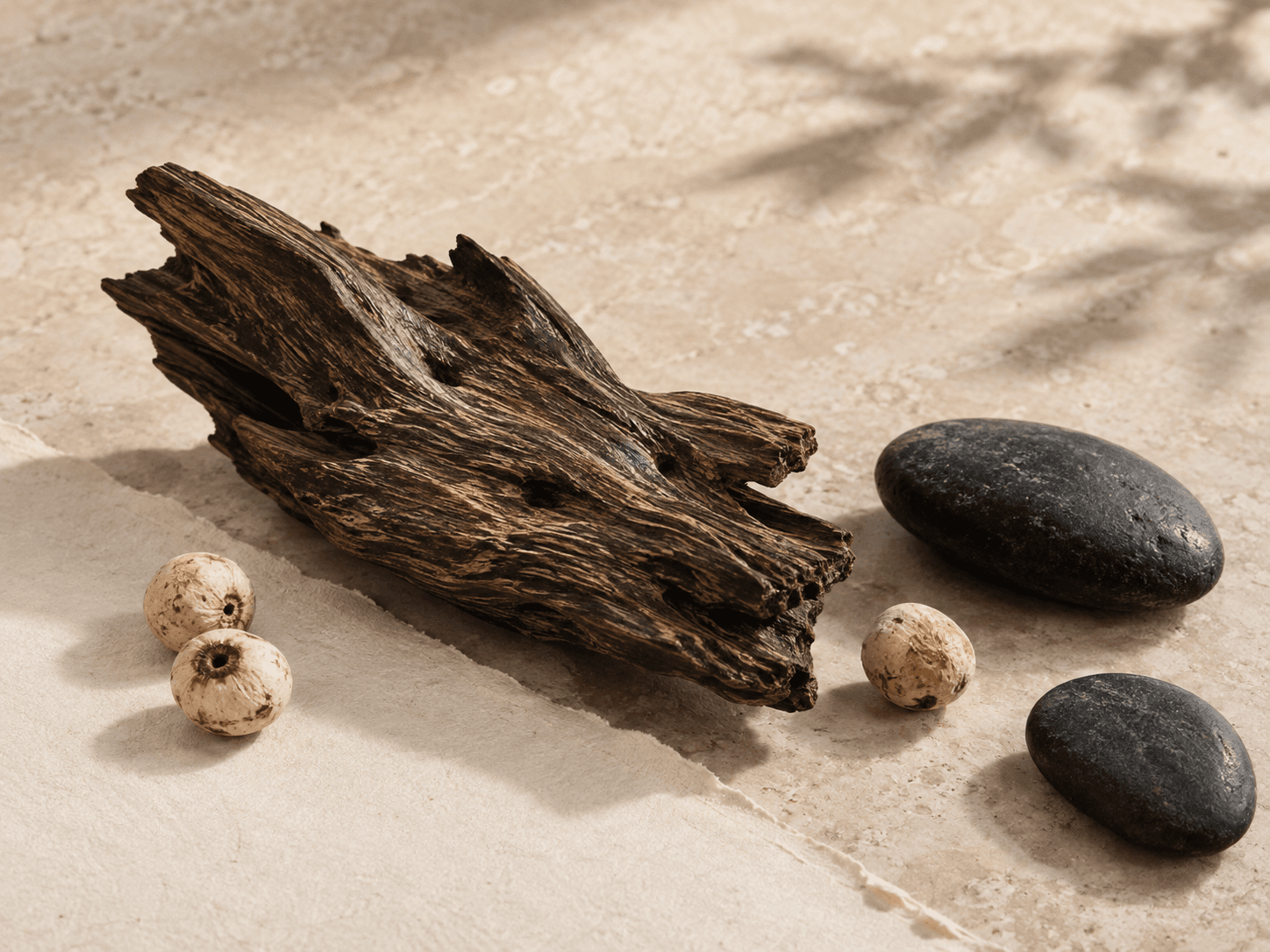 Weathered wood, pale bodhi seeds, and dark stones arranged on limestone